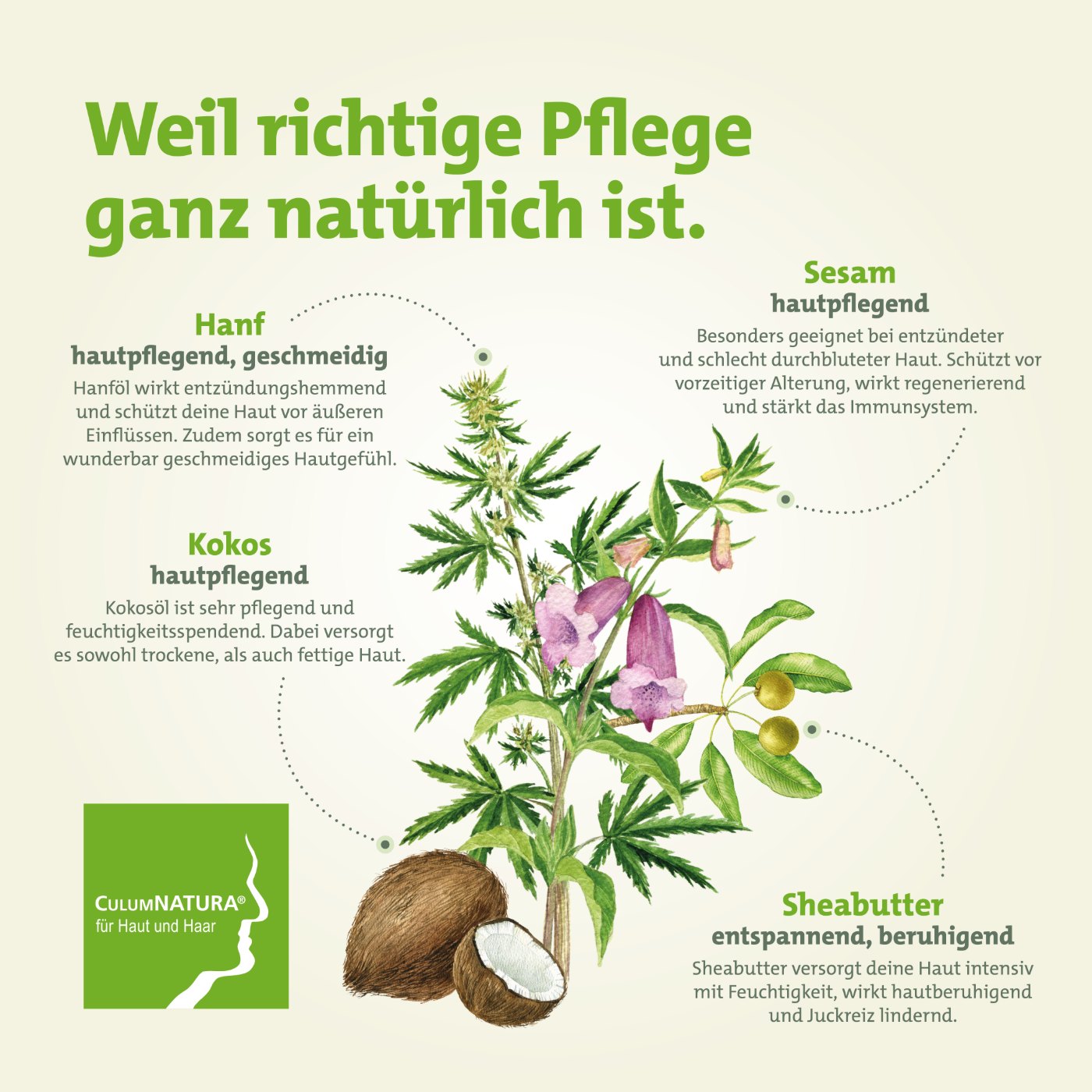Produktinformation zur apricatio Sommerlotion